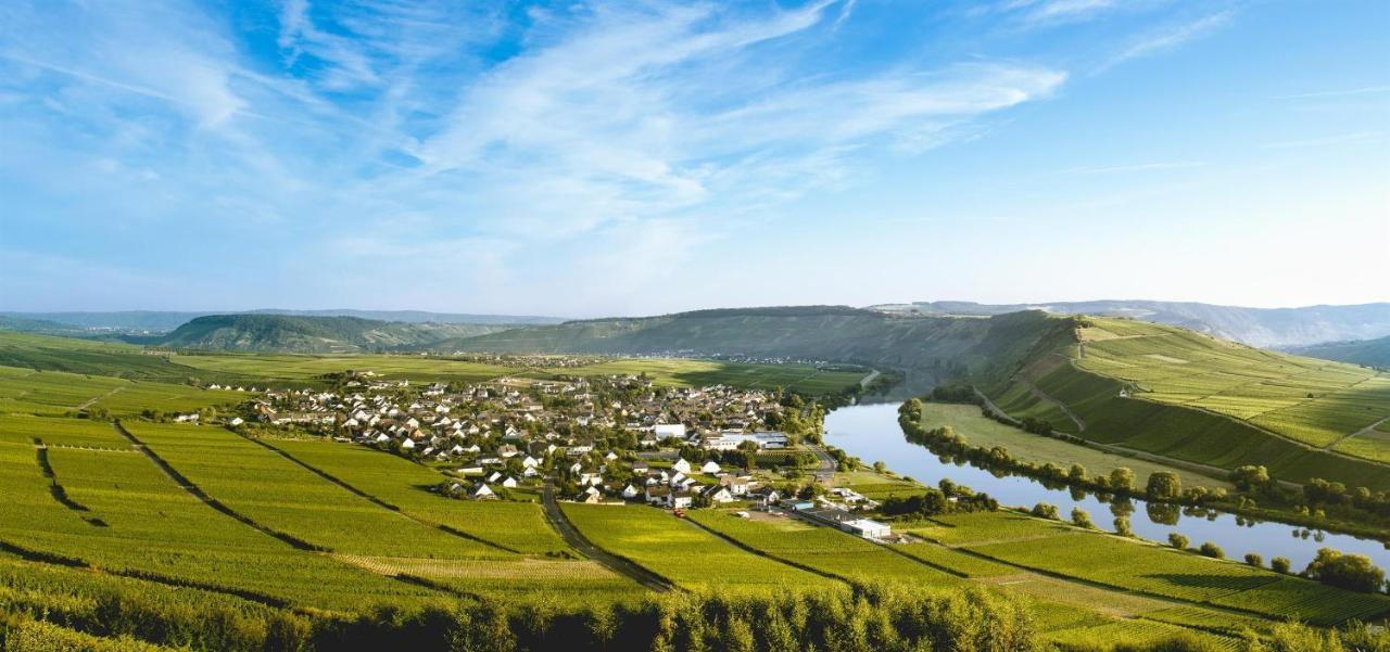 Apartamento Ferienweingut Ulrike Thul Leiwen Exterior foto